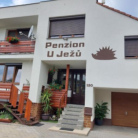 Penzion U Jezu - Ubytovani Pasohlávky Buitenkant foto
