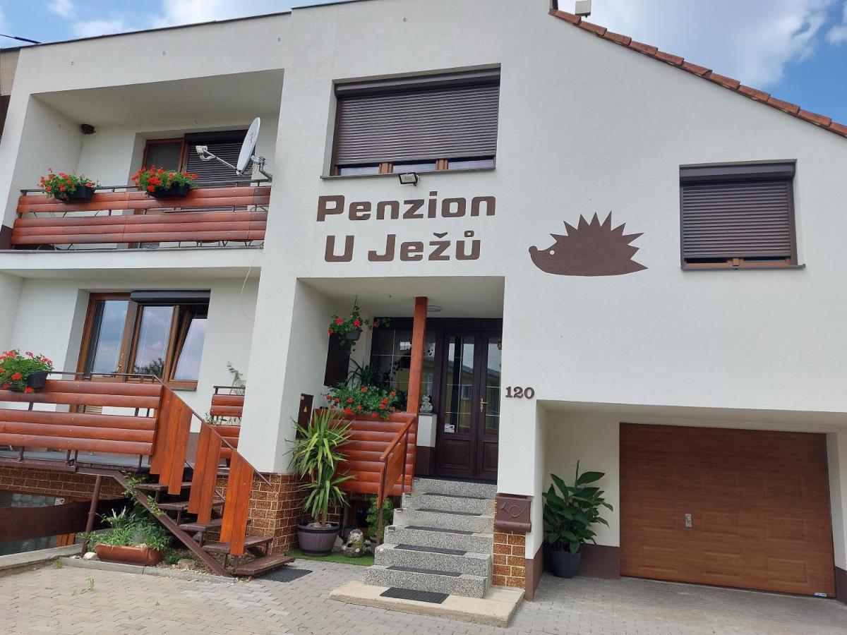 Penzion U Jezu - Ubytovani Pasohlávky Buitenkant foto