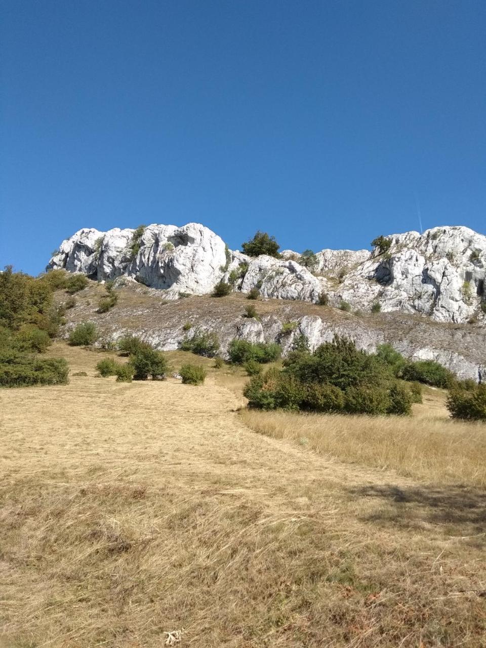 Penzion U Jezu - Ubytovani Pasohlávky Buitenkant foto